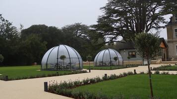 A garden with two transparent greenhouse structures, a pathway, and a building in the background.
