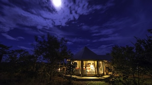 A dome-shaped tent with a glass entrance, surrounded by trees, under a night sky with a visible moon. - The Elephant Camp (Victoria Falls)