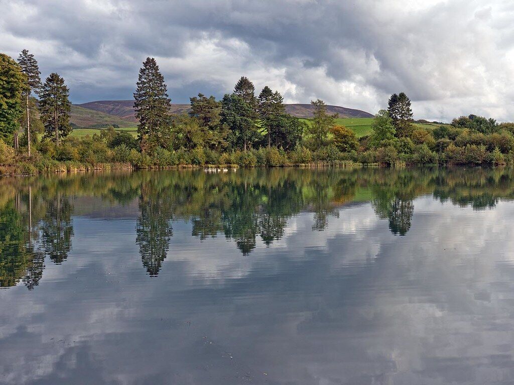 A calm lake with reflections of trees and a cloudy sky.