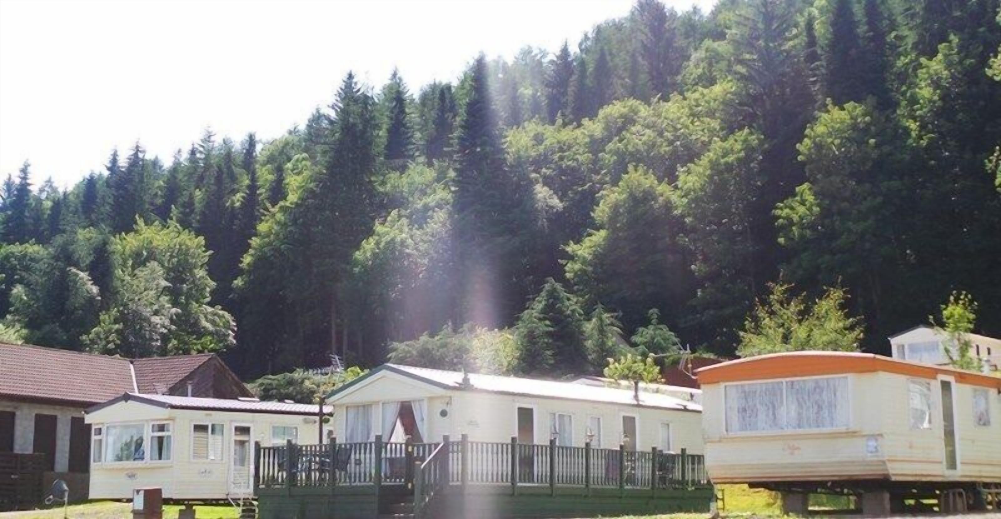 A row of mobile homes with a forested hill in the background.