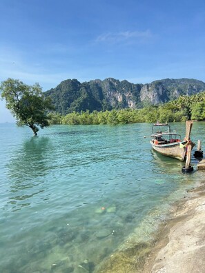 Un barco amarrado en una playa despejada con un árbol en el agua, y montañas al fondo.