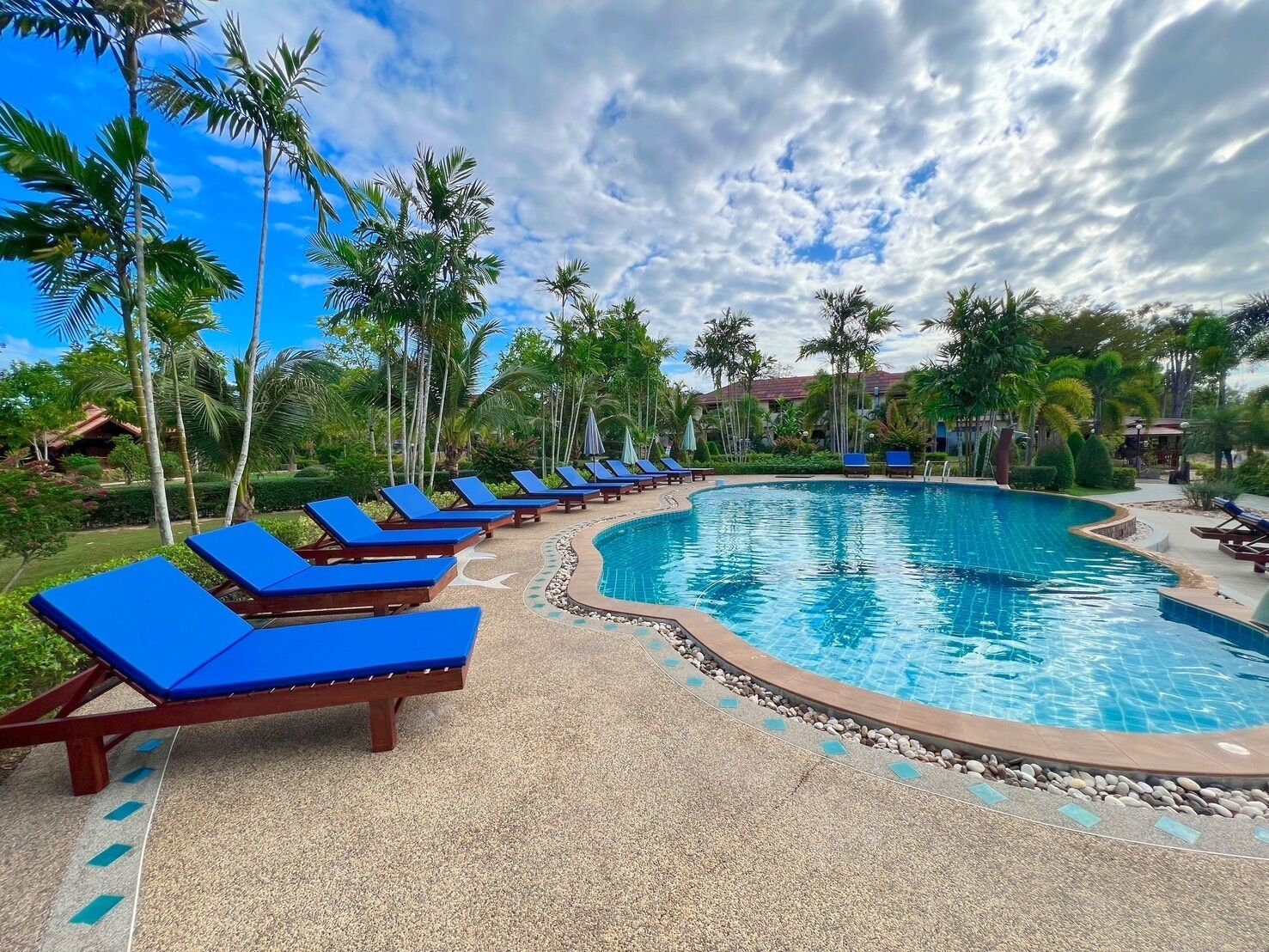 A pool area with blue lounge chairs and palm trees.