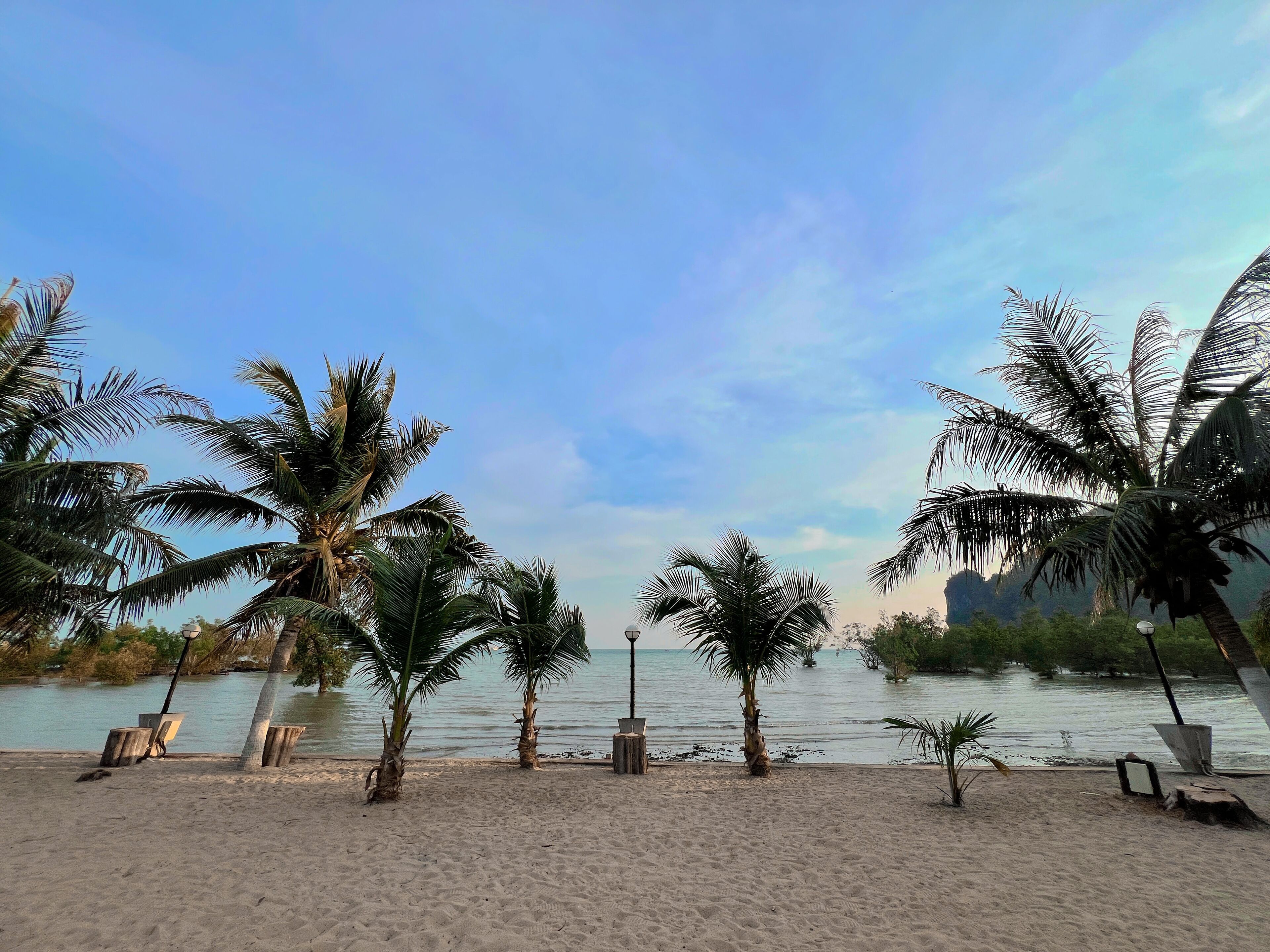 A beach with palm trees and a calm sea.