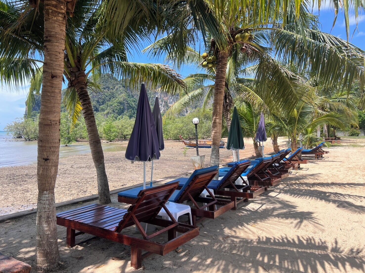 A beach with rows of wooden lounge chairs and umbrellas, palm trees, and a clear view of the ocean.
