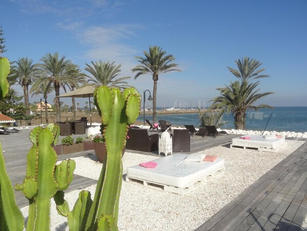 A beachside lounge area with sunbeds, a cactus, and a view of the sea. - El Secreto del Agua (Cartagena)