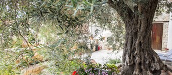 Vouni Lodge