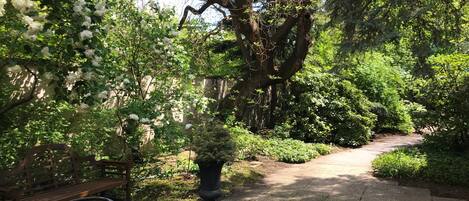 Un sentier de jardin agrémenté d’un banc et de plantes en pot.