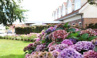Udendørsområde