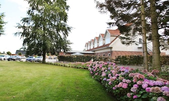 A row of houses with a well-maintained lawn and hydrangea bushes.