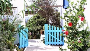 Ein blaues Tor führt zu einem weißen Gebäude mit einem Garten.