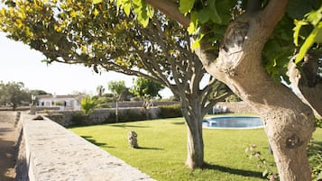 Una piscina al aire libre, sombrillas, tumbonas