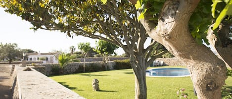 Outdoor pool, pool umbrellas, pool loungers