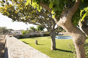 Outdoor pool, pool umbrellas, sun loungers