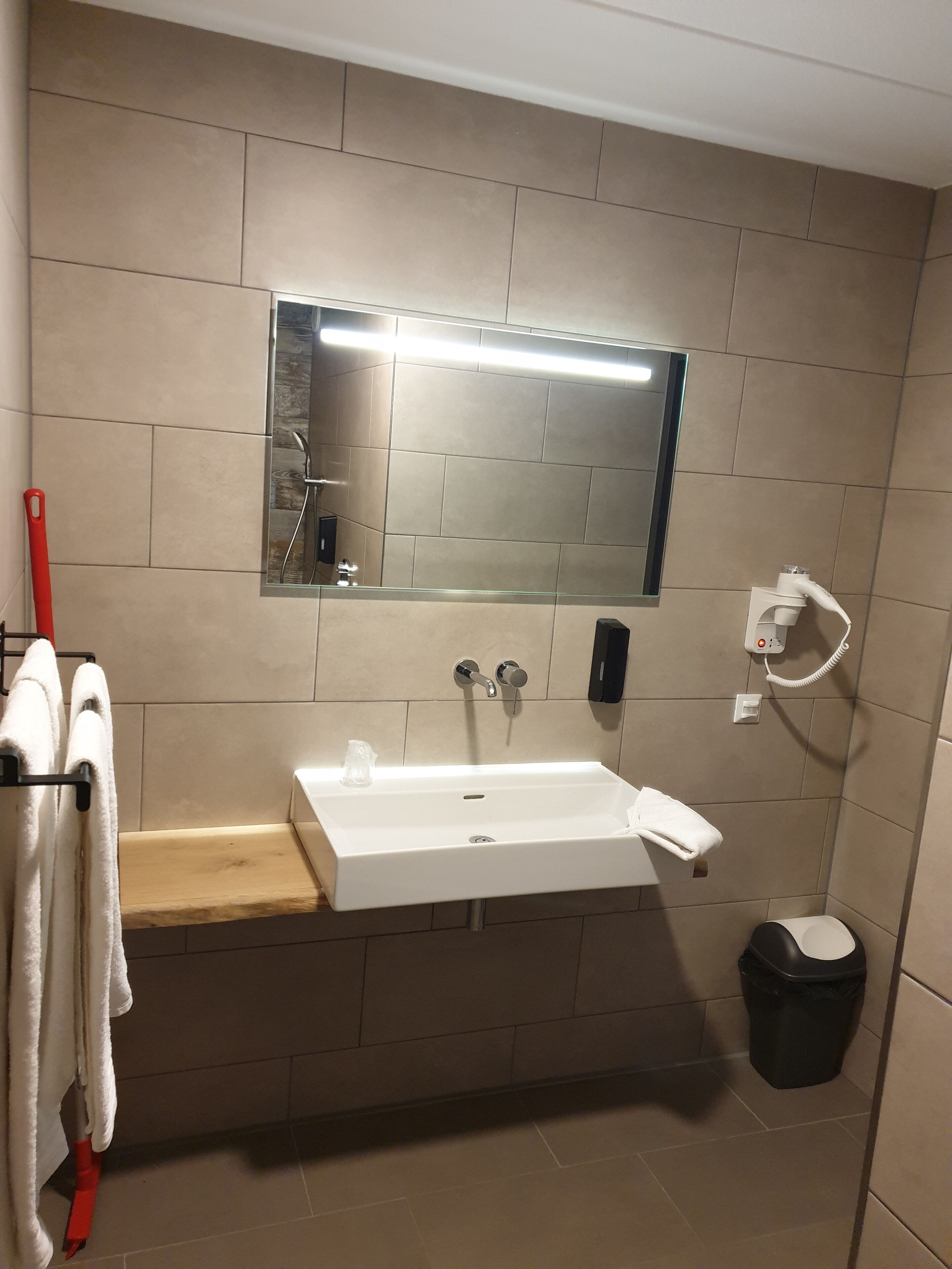 Un baño con un lavamanos blanco, un espejo, un perchero para toallas, un cabezal de ducha manual y un cubo de basura.