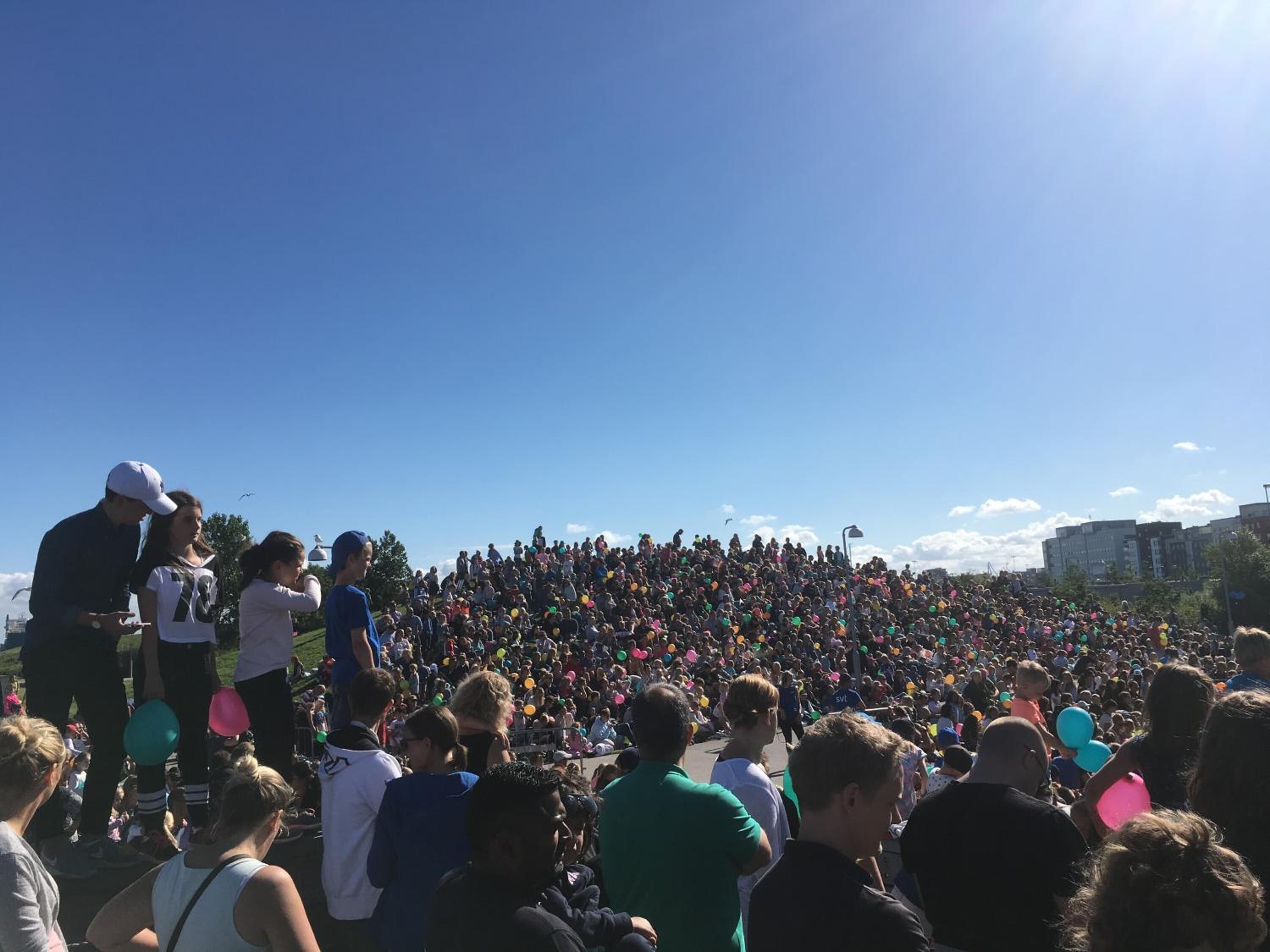A large outdoor gathering of people, likely at a public event or celebration.
