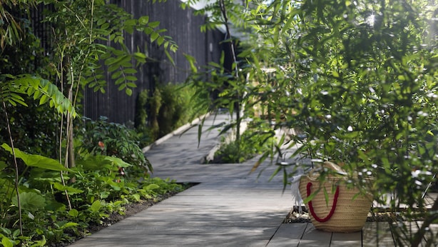 A wooden pathway surrounded by lush greenery and bamboo plants. - Ohboy Hotell (Malmö)