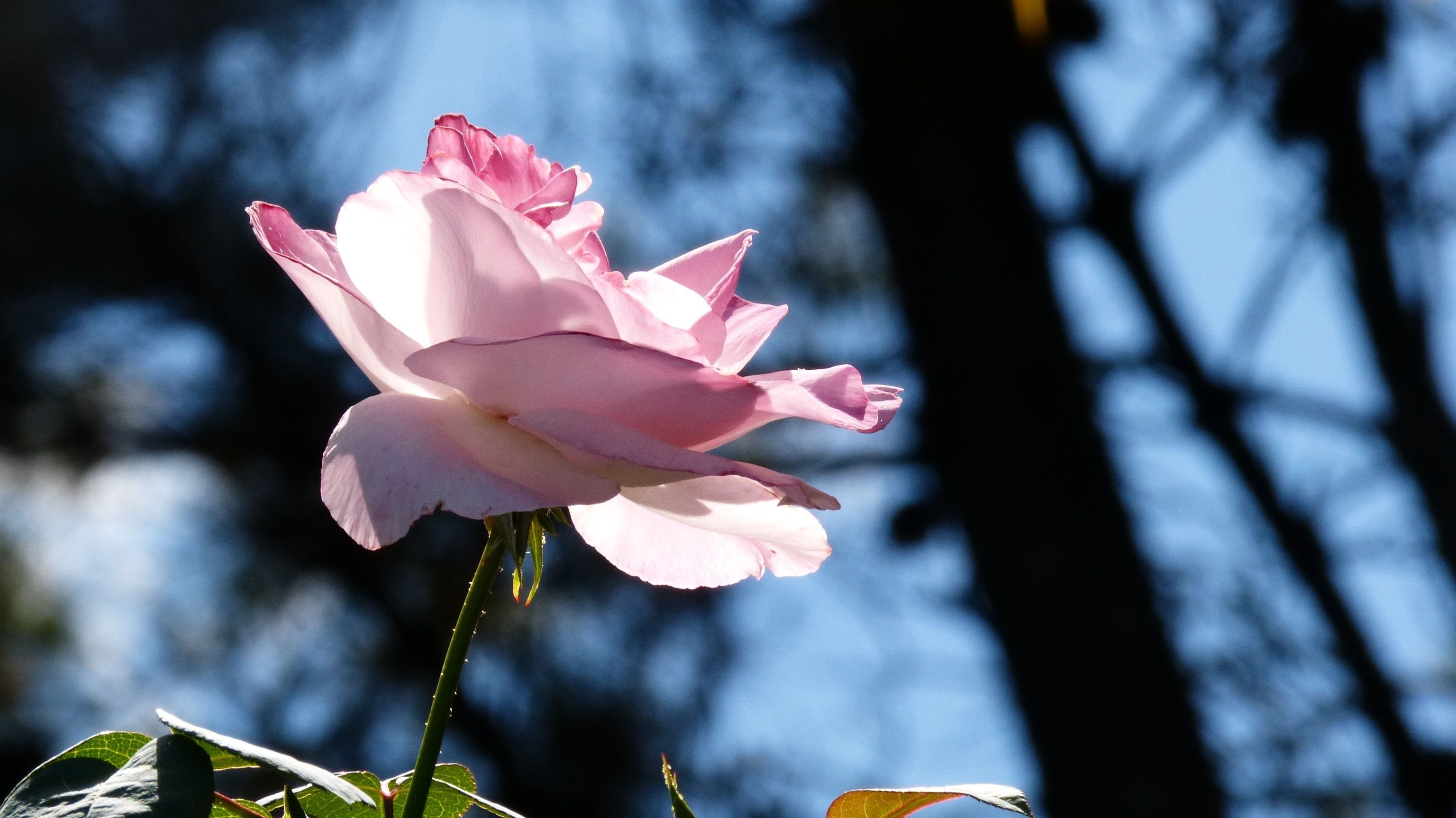 Foto - Posada del Viento