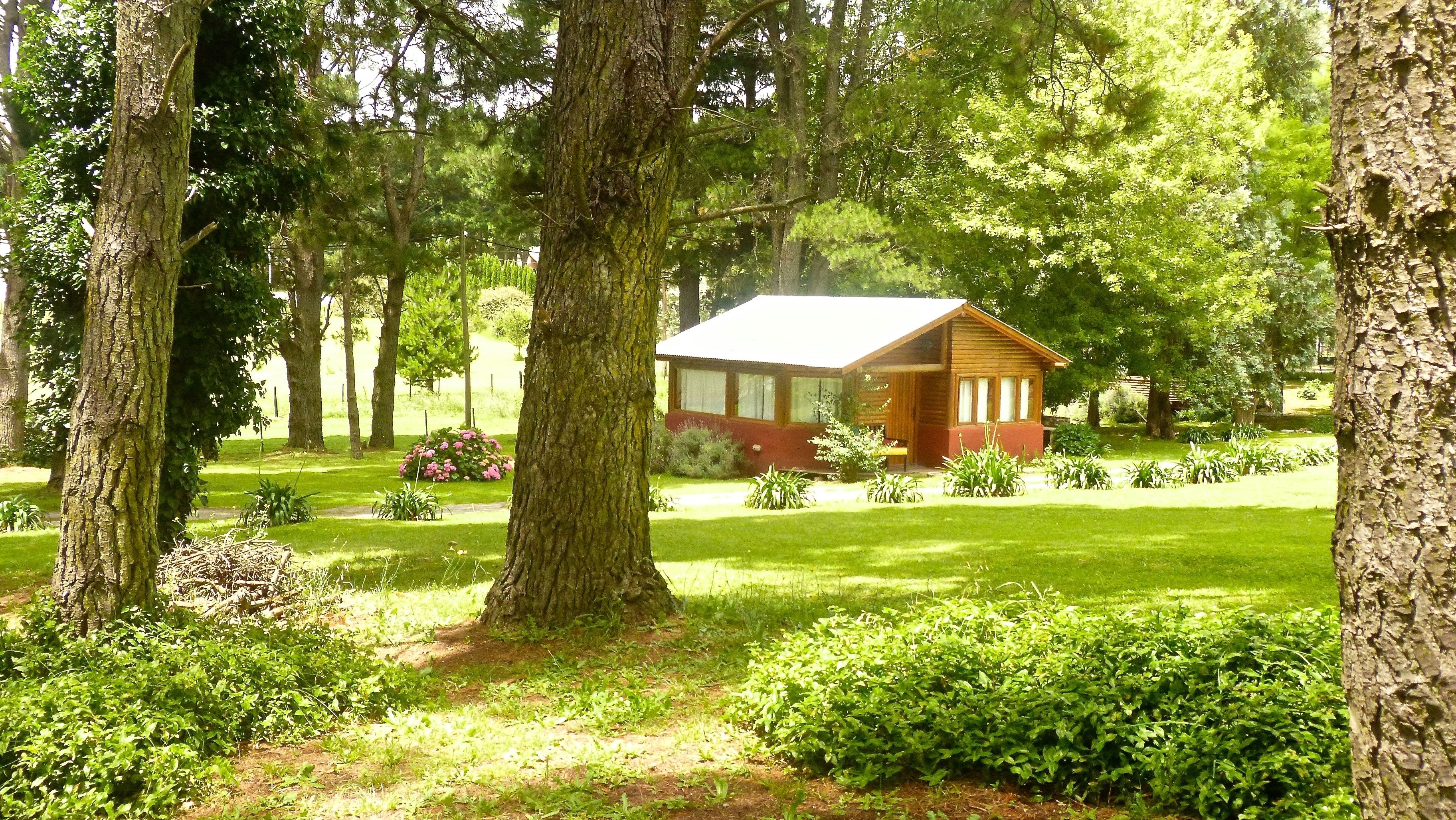 A cabin surrounded by lush greenery and trees.