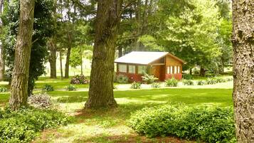 A cabin surrounded by lush greenery and trees.