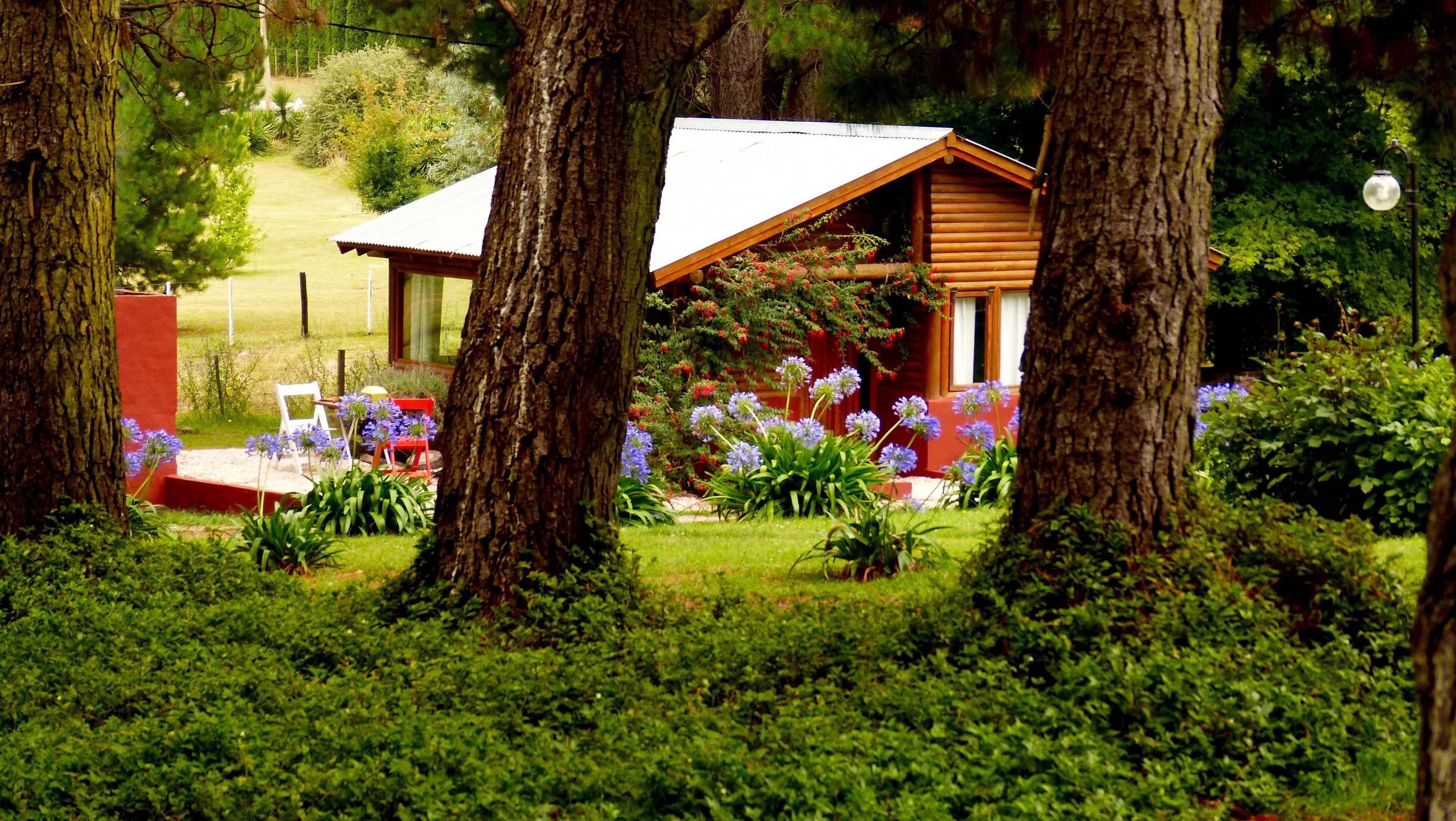 Una cabana de fusta amb teulada inclinada, envoltada de vegetació exuberant i plantes en flor.