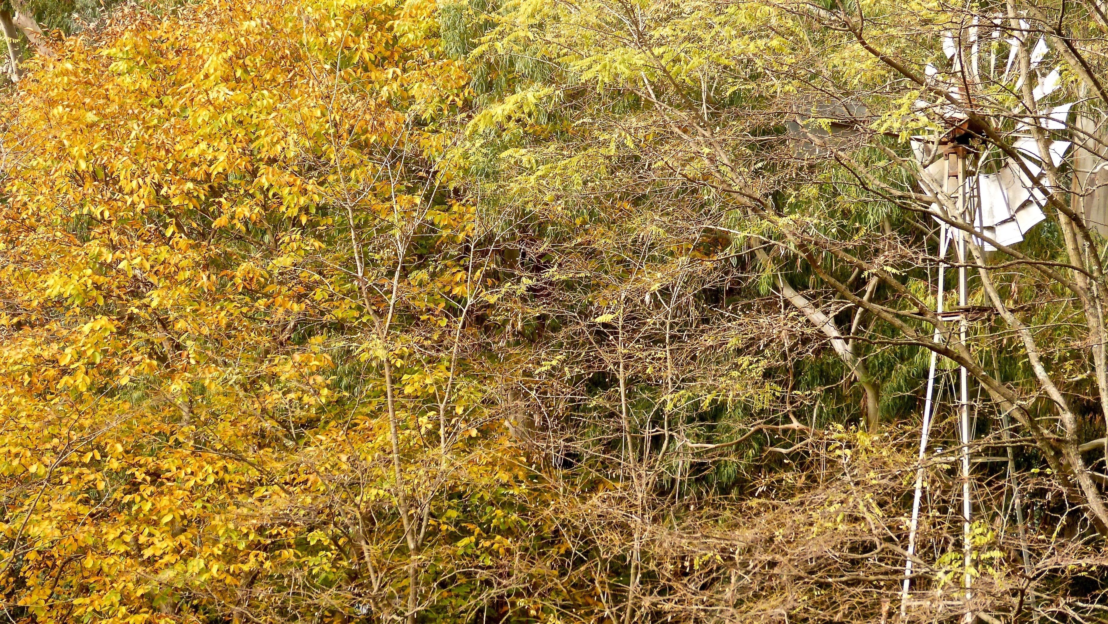 Foto - Posada del Viento