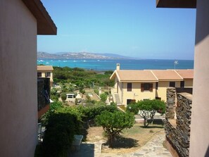 A coastal residential area with a view of the sea, houses with stone walls, and a tree in the foreground.