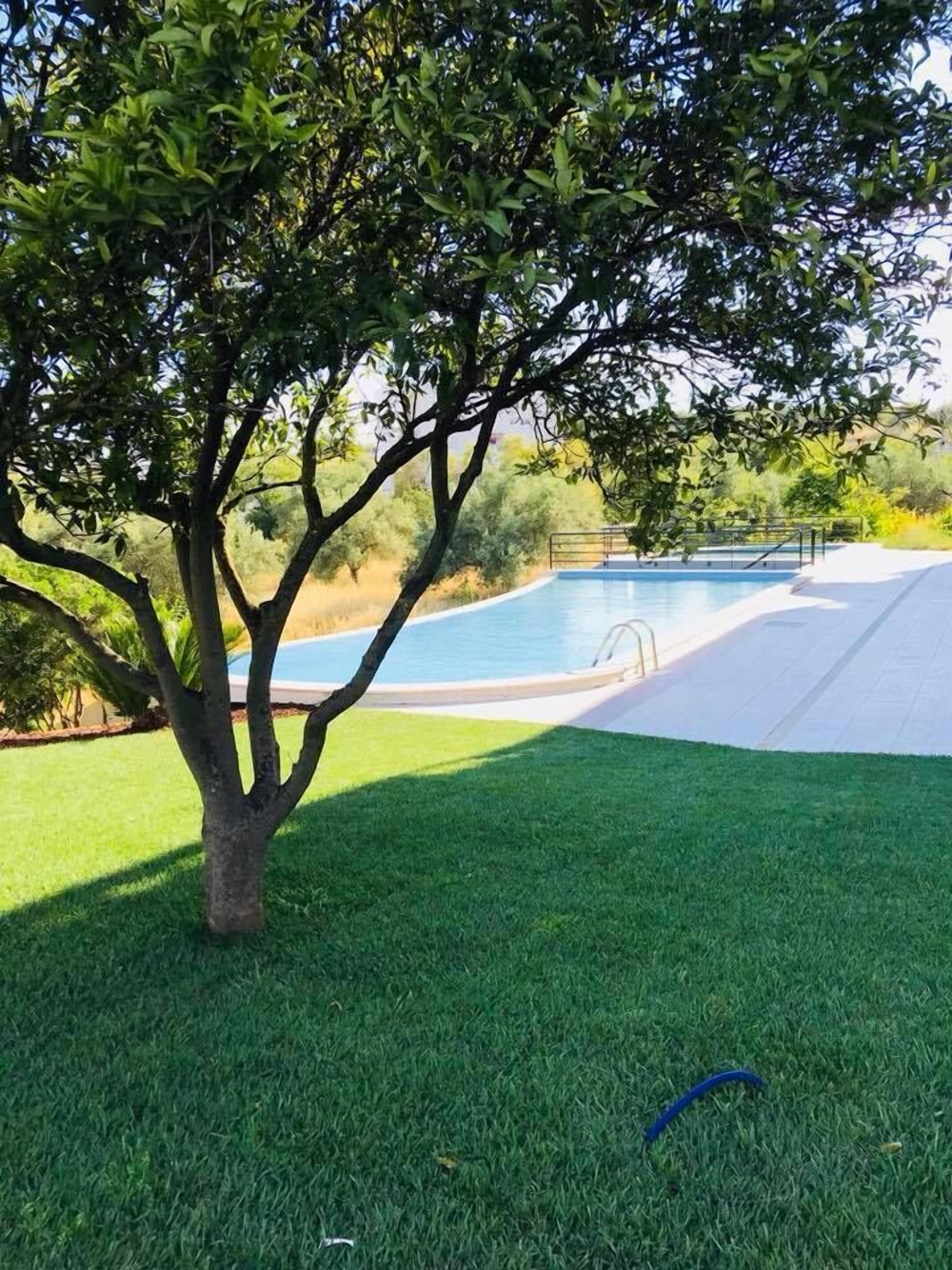 Ein Schwimmbecken mit einer Rasenfläche und einem Baum im Vordergrund.