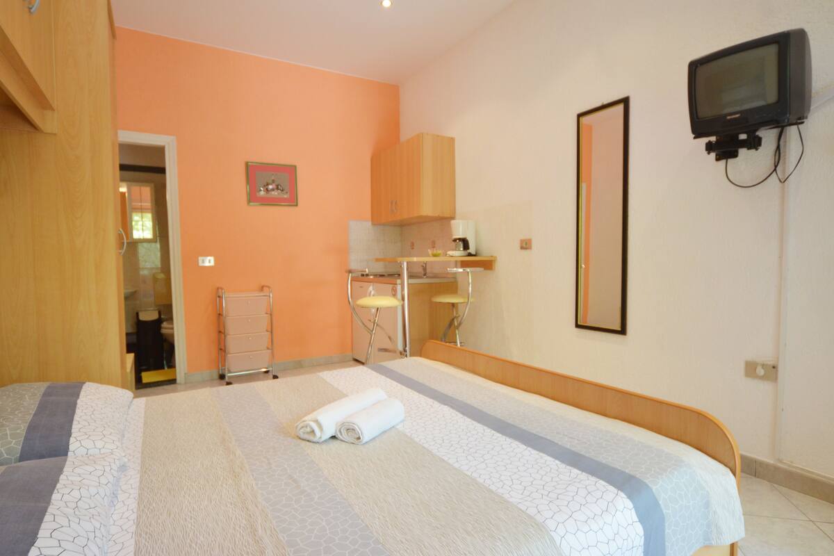 Standard Studio, Terrace, Garden View