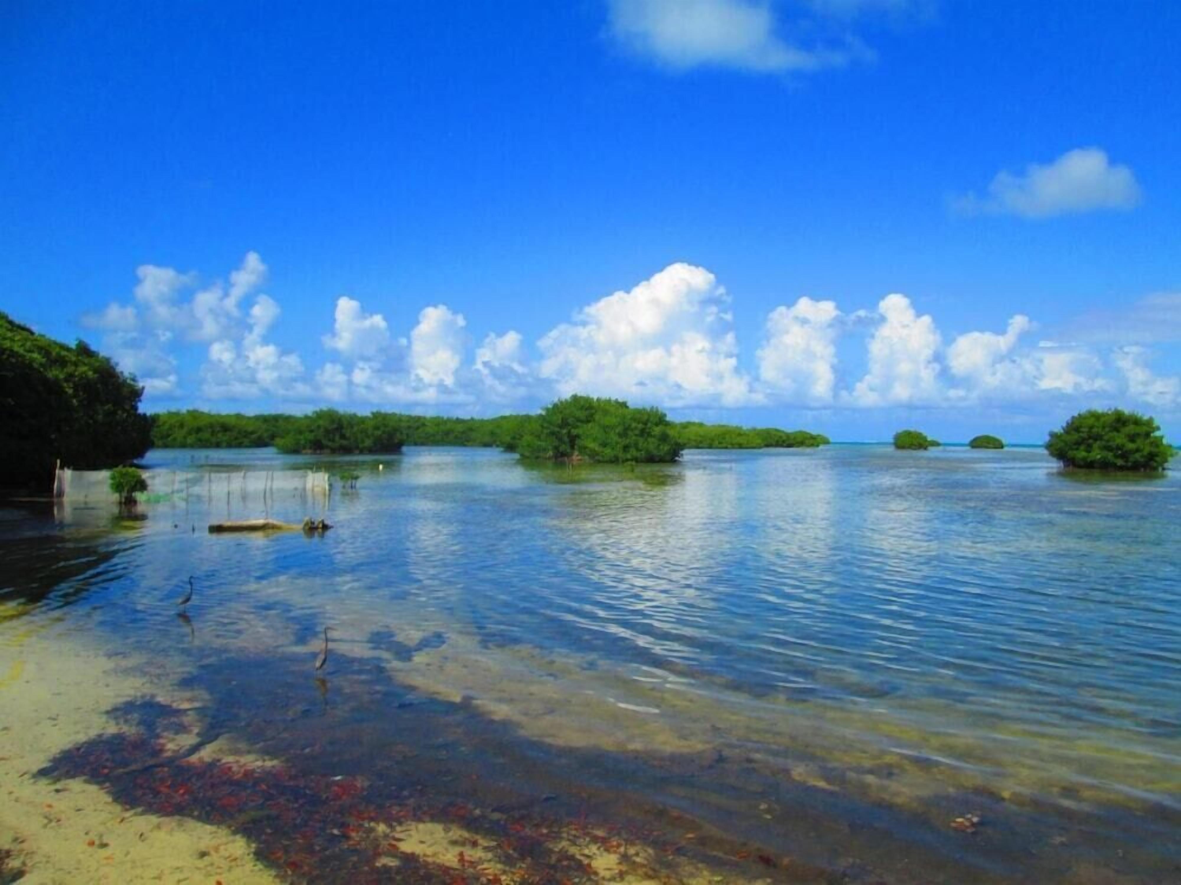 海滩