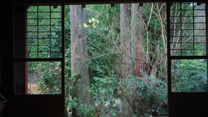 Una habitación con suelo de estequilla, una puerta corredera tradicional japonesa y vistas a una zona boscosa a través de una ventana con diseño de cuadrícula.