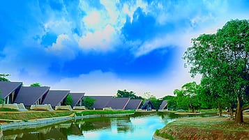 Lake view