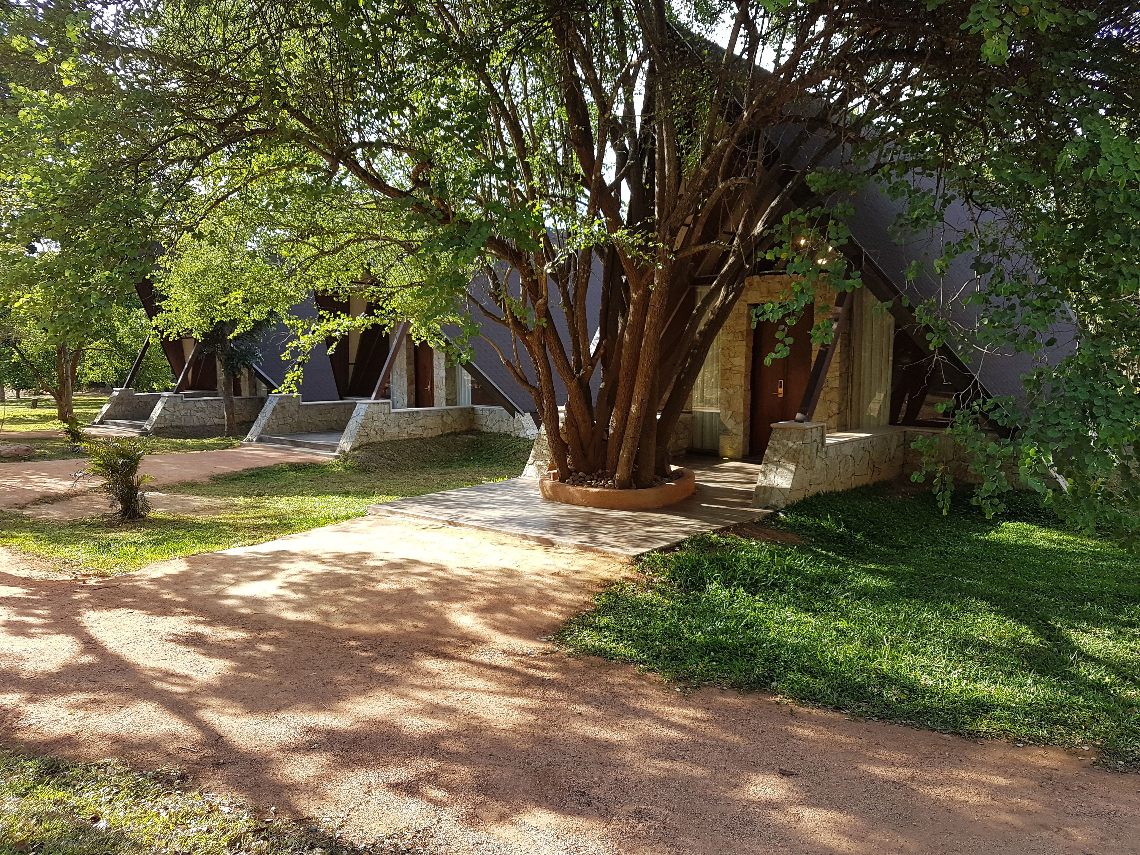 Un sendero que lleva a un edificio de paredes de piedra y un gran árbol en el centro.