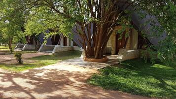 Un sendero que lleva a un edificio de paredes de piedra y un gran árbol en el centro.