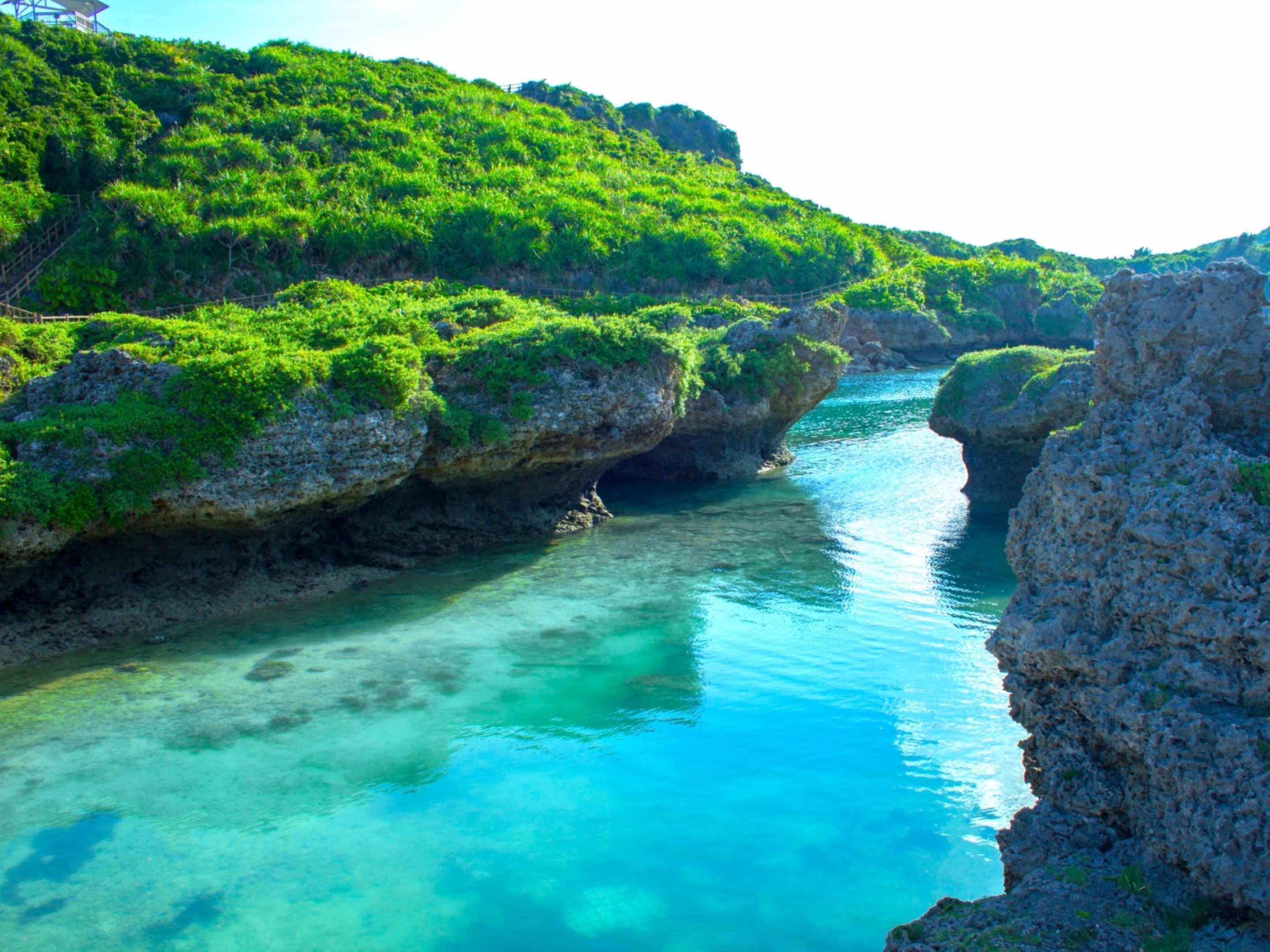 A natural landscape with a clear water channel, rocky formations, and lush green vegetation.