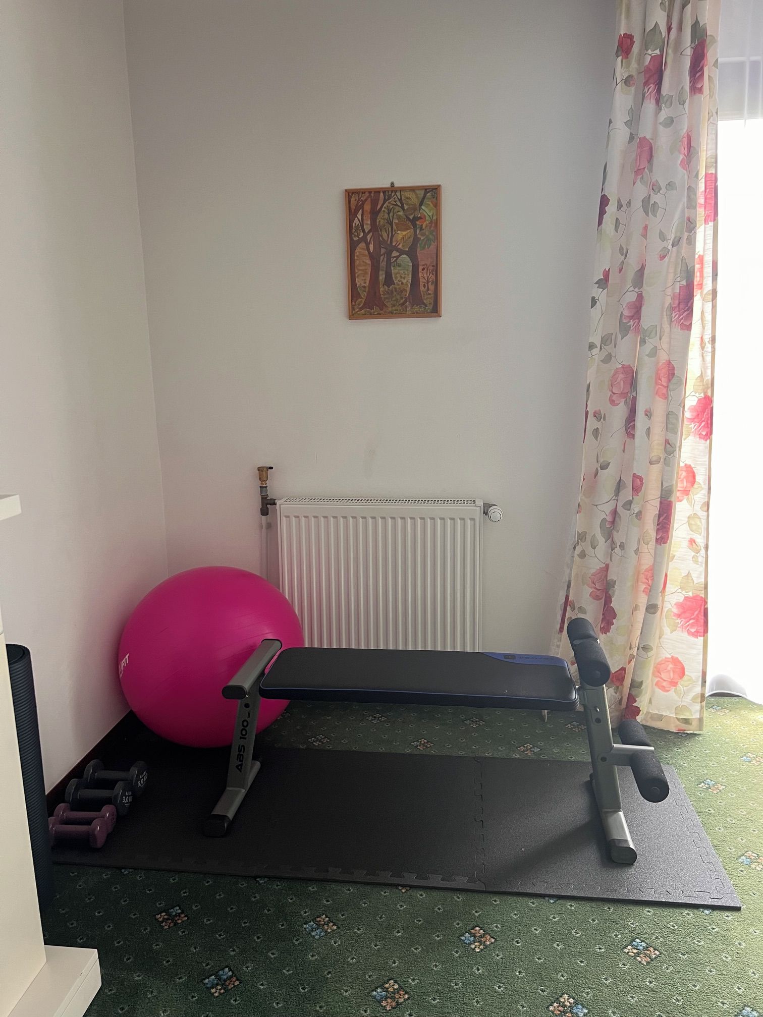 Una habitación con barra de dominadas, una pelota de ejercicios rosa y un radiador.