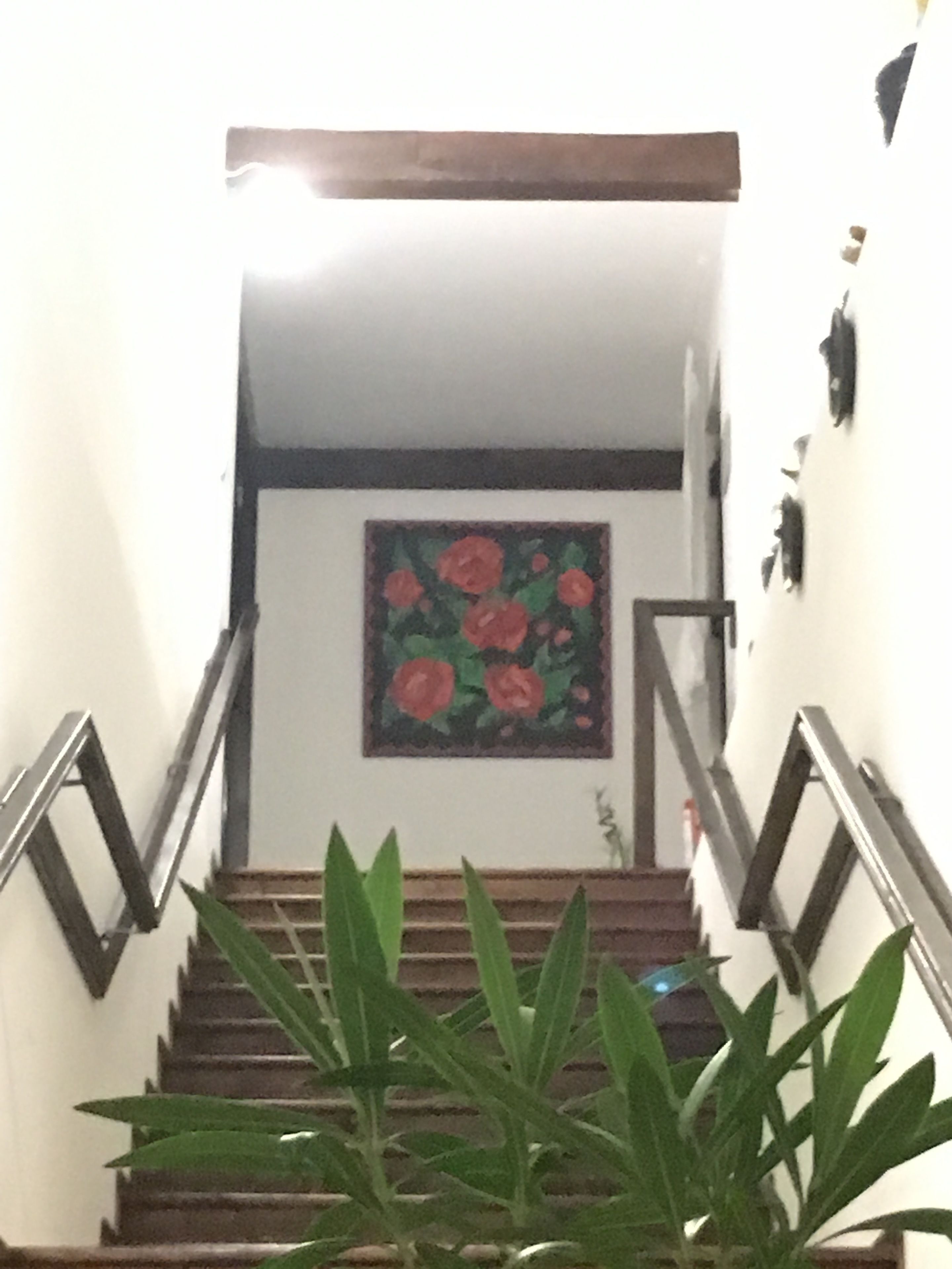 A staircase with a wooden handrail, a wall-mounted painting of red flowers, and a potted plant at the bottom.