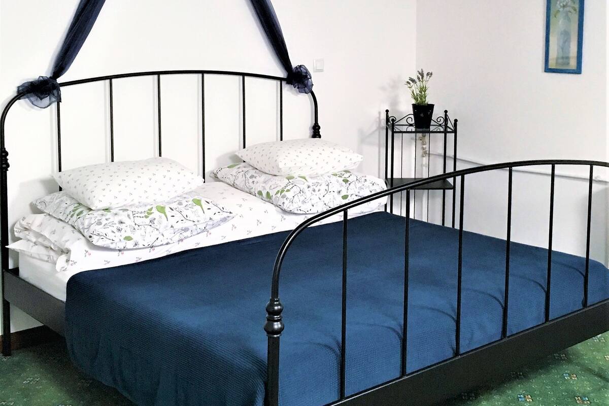 Una cama individual con estructura metálica negra, ropa de cama blanca y colcha azul. Hay una mesita de noche con una planta en maceta. La habitación tiene una alfombra estampada color verde y paredes blancas.