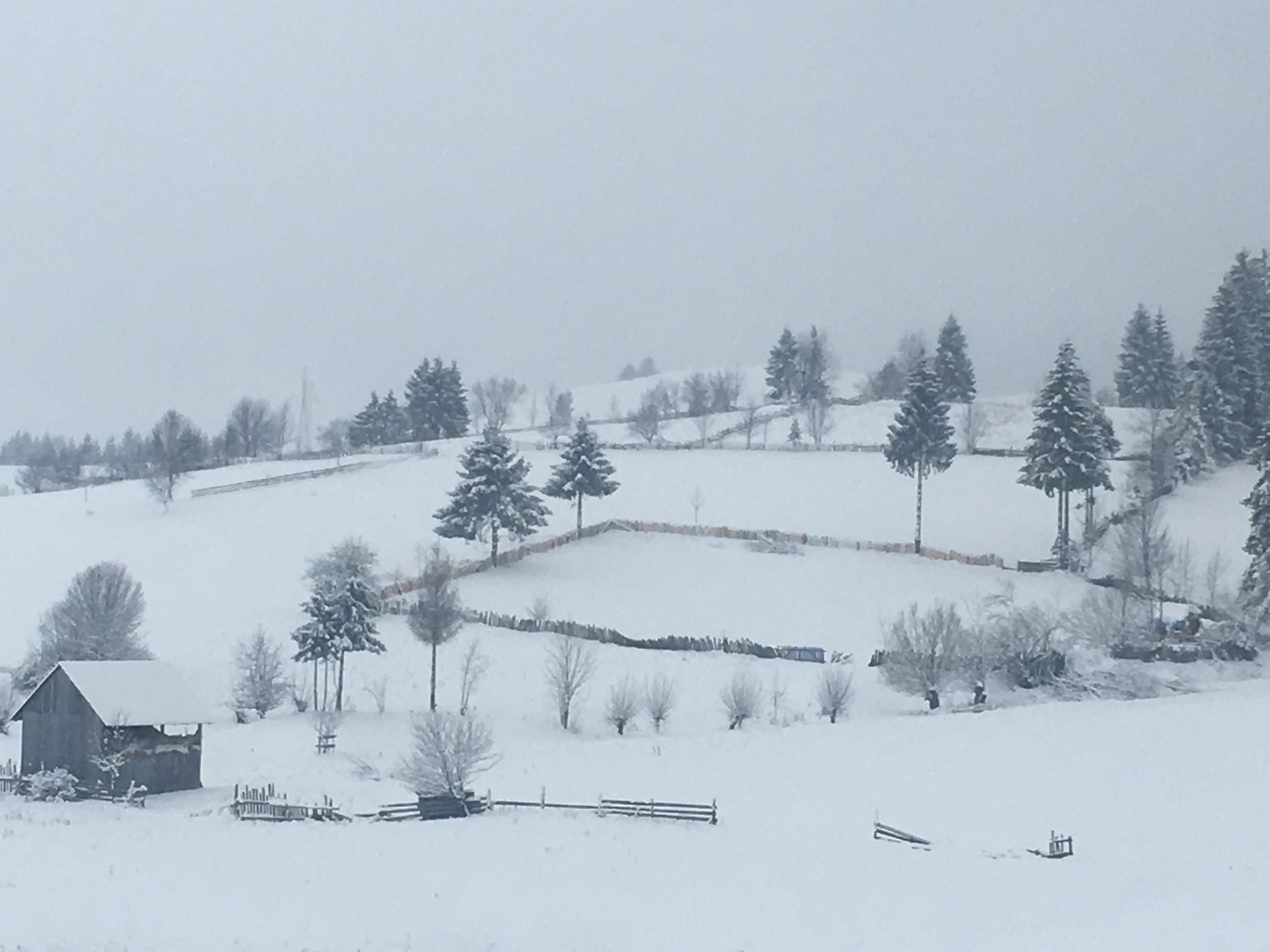 A snow-covered landscape with a wooden cabin, trees, and a stone wall.