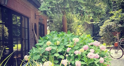 Guesthouse Momo