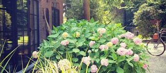 Guesthouse Momo