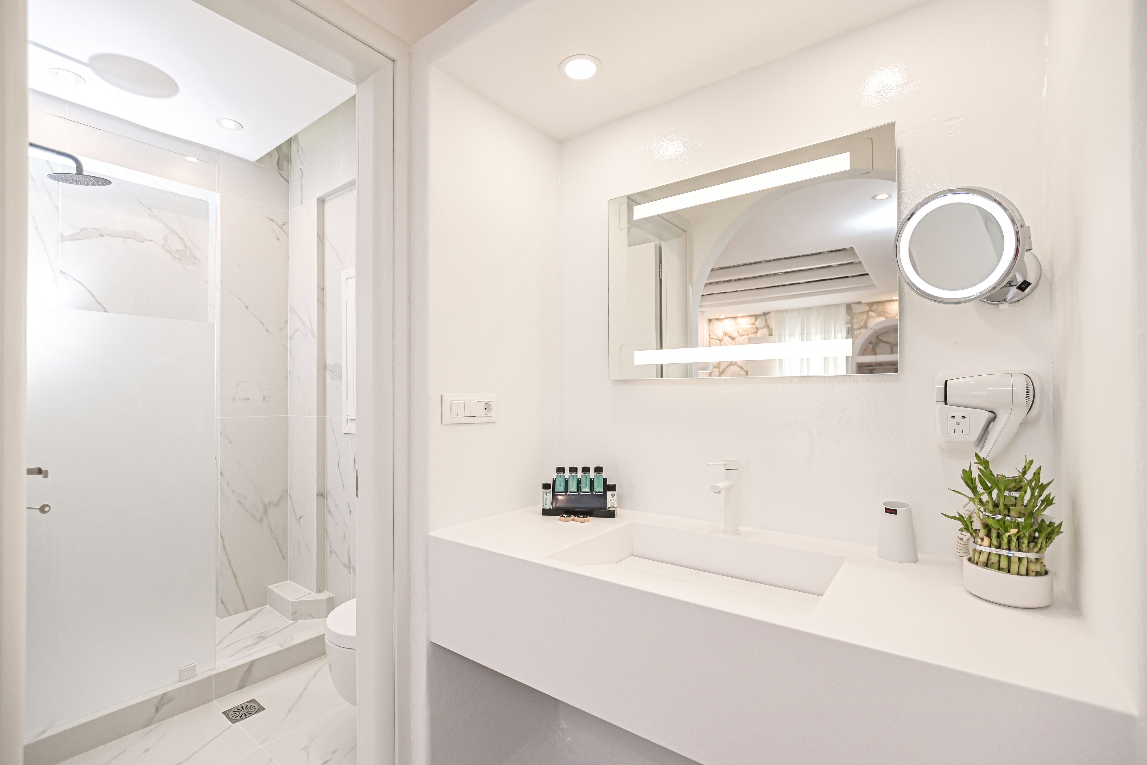 Un baño moderno con ducha, lavamanos con espejo y una planta en maceta.