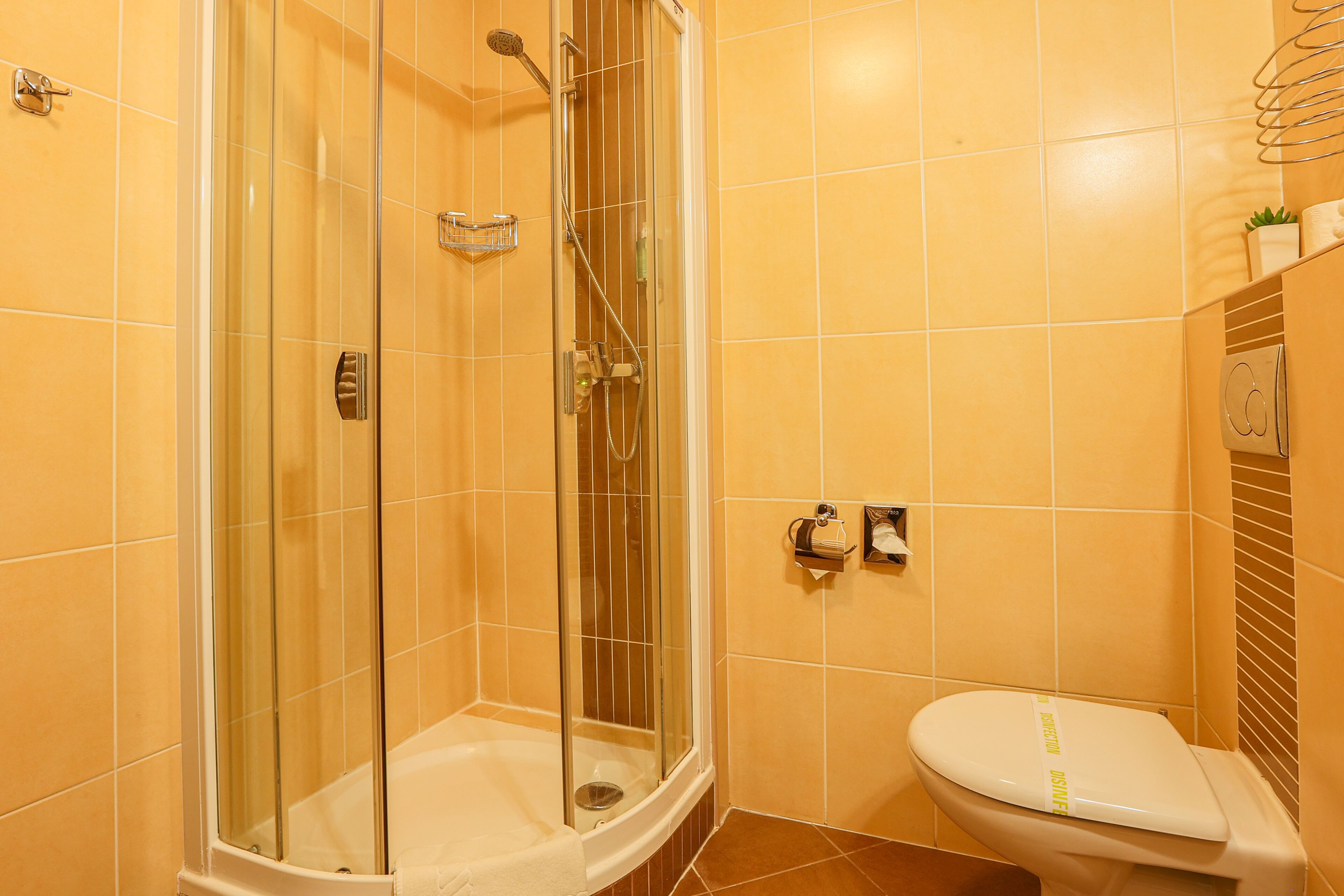 superior apartment, 1 bedroom | bathroom | shower, designer toiletries, hair dryer, towels