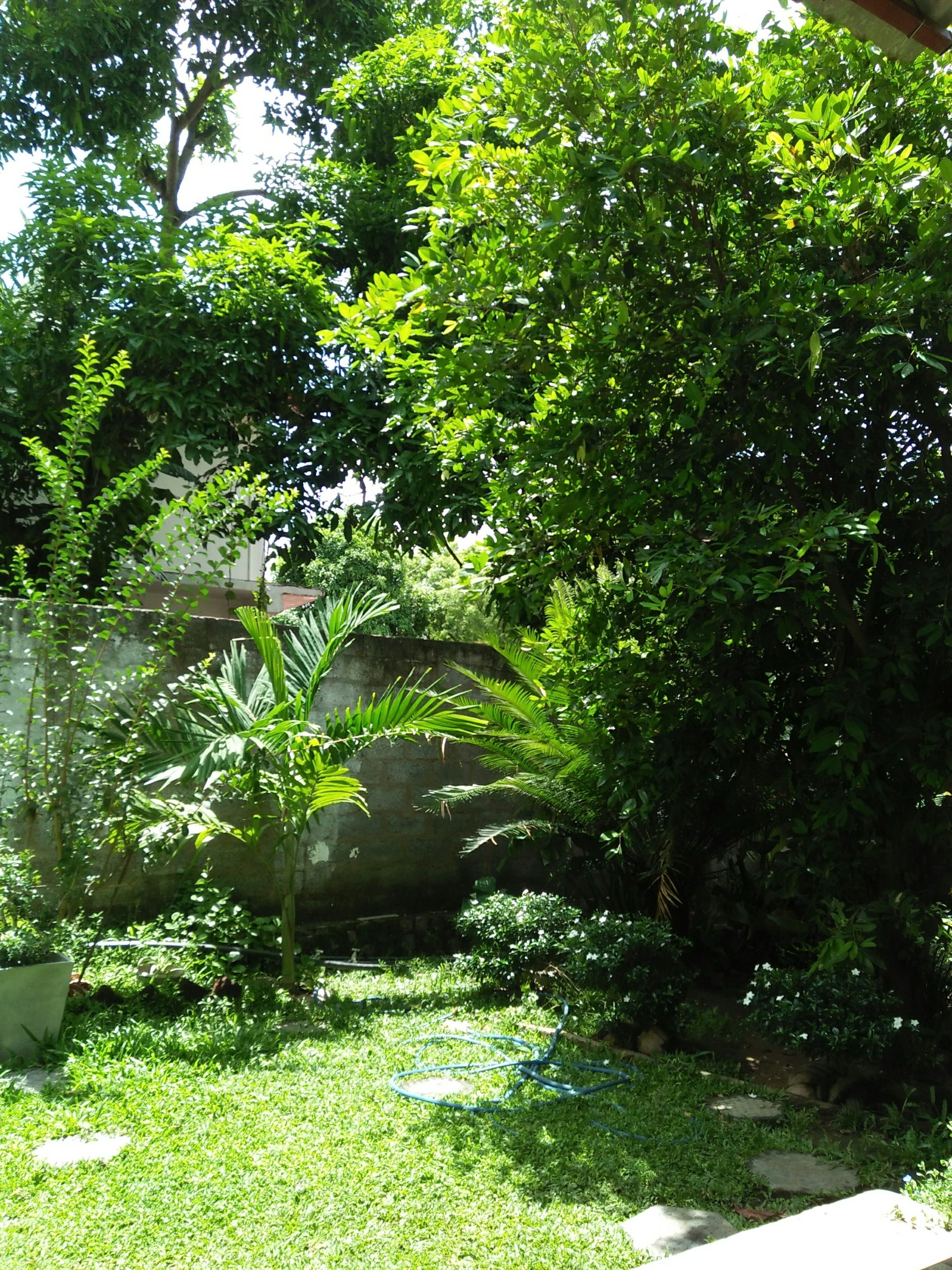 deluxe double or twin room, 1 bedroom, garden view, mountainside | terrace/patio