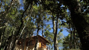 A treehouse with a balcony, surrounded by tall trees and clear blue sky. - Chalé da Floresta (Camanducaia)