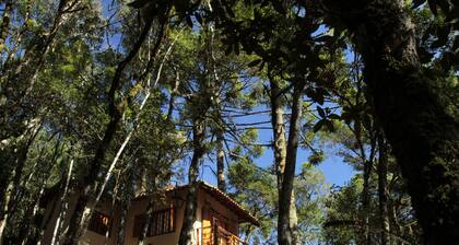 Chalé da Floresta