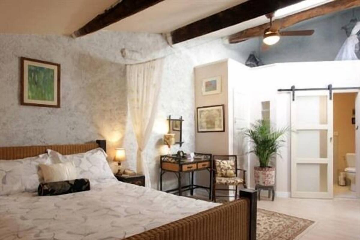 A bedroom with a large bed, a ceiling fan, and a view of the bathroom.