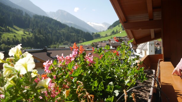 A balcony with a view of mountains and a garden with flowers.