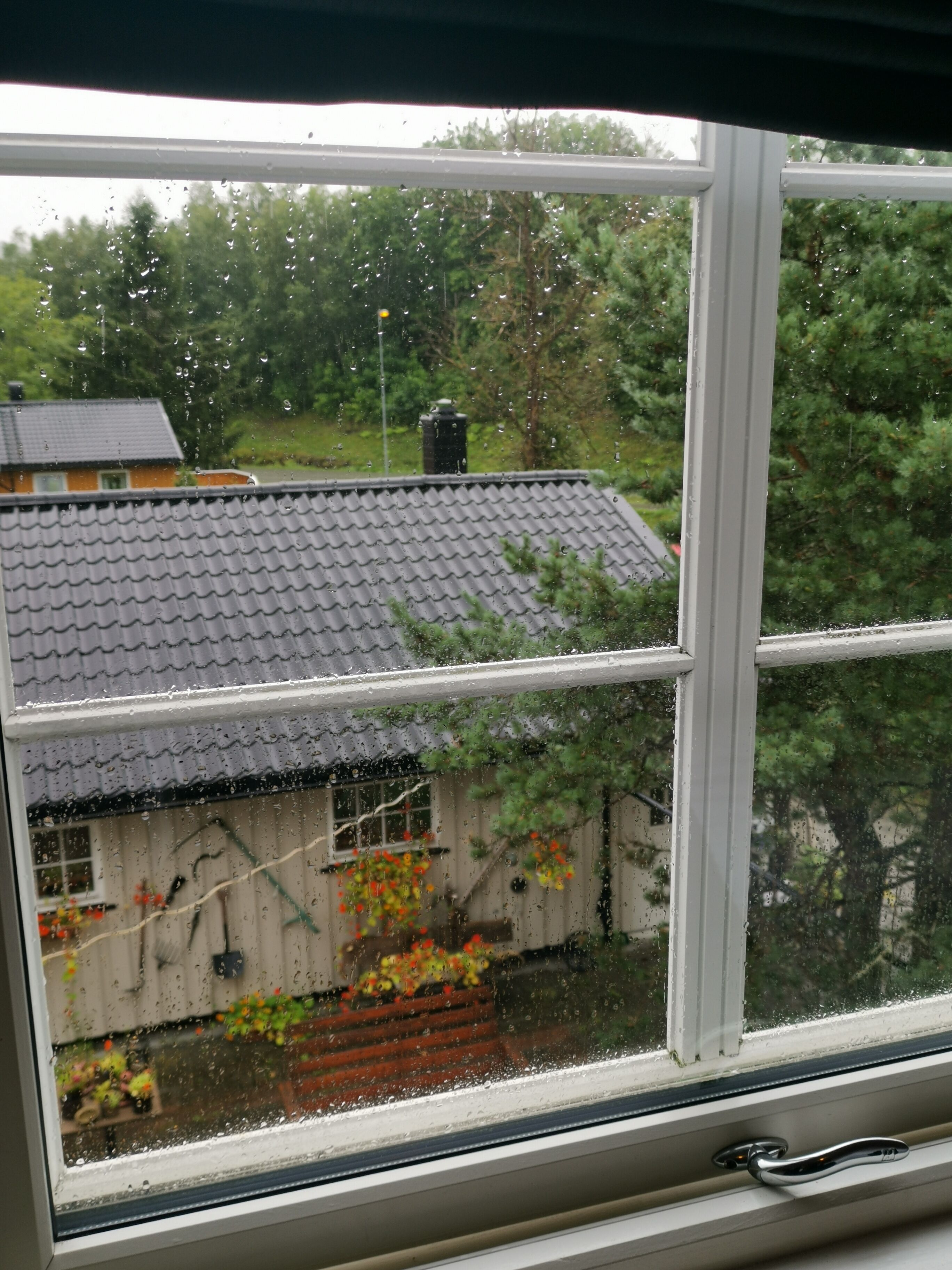 Utsikt fra overnattingsstedet