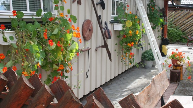 Una casa de madera blanca con cerca de madera, una escalera y macetas con flores anaranjadas.