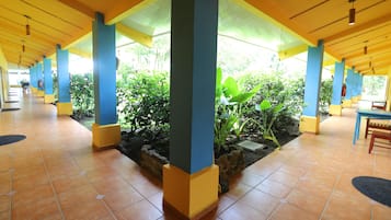 Room, Accessible | Courtyard view